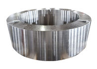 Thermische behandeling 2500mm het Roestvrije staalsmeedstuk van DIN 1,4301