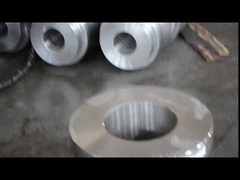 Gesmede SUS302 1.4307 Roestvrijstalen Ring Voor Metallurgie