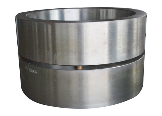 DIN-Thermische behandeling 2500mm 1,4301 Roestvrije Smeedstukken